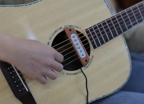 Flanger FP-02 Magnetic Soundhole Pickup (Acoustic Guitar) - Image 2