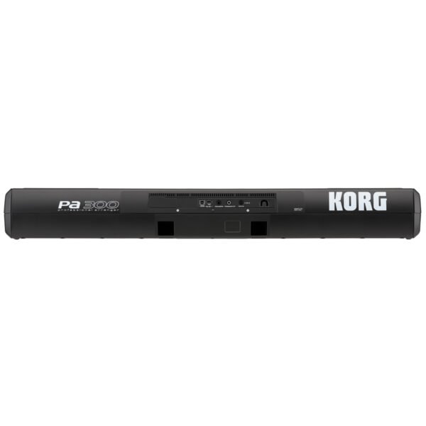 Korg Pa300 61-key Arranger Workstation (with Indian Styles) - Image 2
