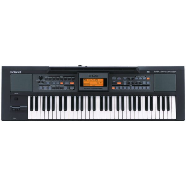 Roland E-09 Interactive Arranger