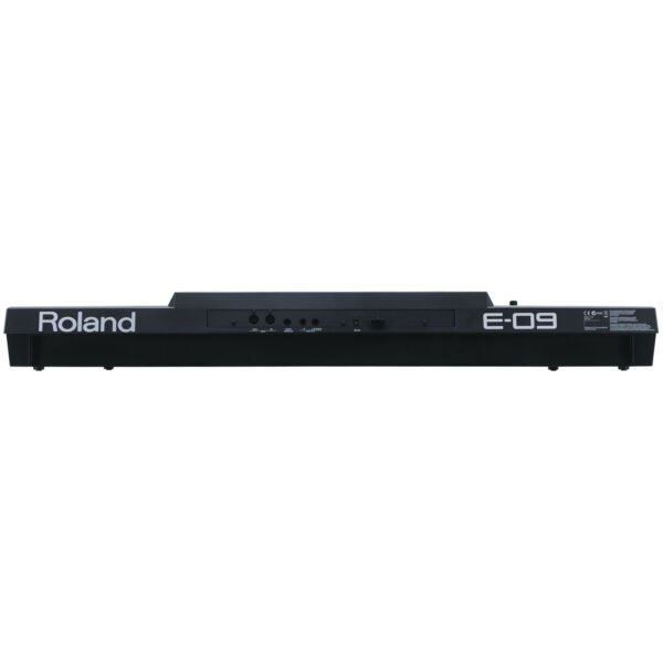 Roland E-09 Interactive Arranger - Image 2