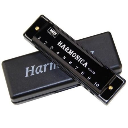 10 Hole Diatonic Harmonica