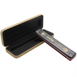 EastTop T22K Premium 22-Holes C-Key Harmonica