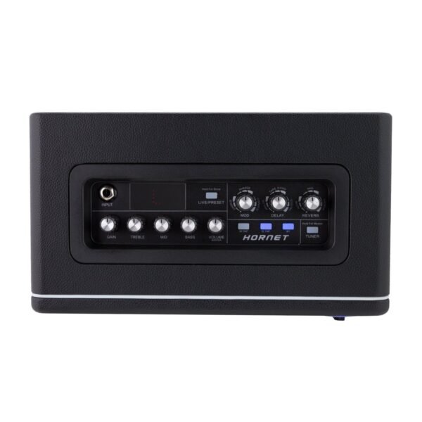 MOOER Hornet 15 Watt Combo Black - Image 2