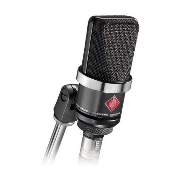Neumann TLM102 (“transformerless microphone)