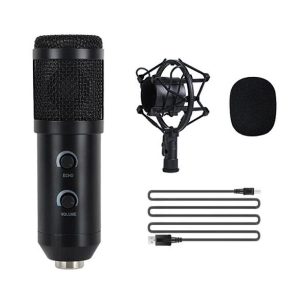 ALM-888 USB Condenser Mic with Echo